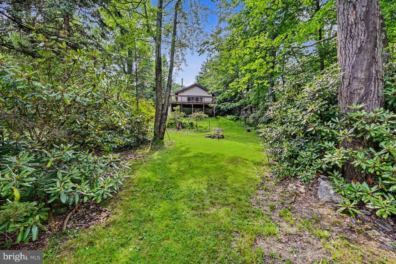 27 W Fern Property Photo 58