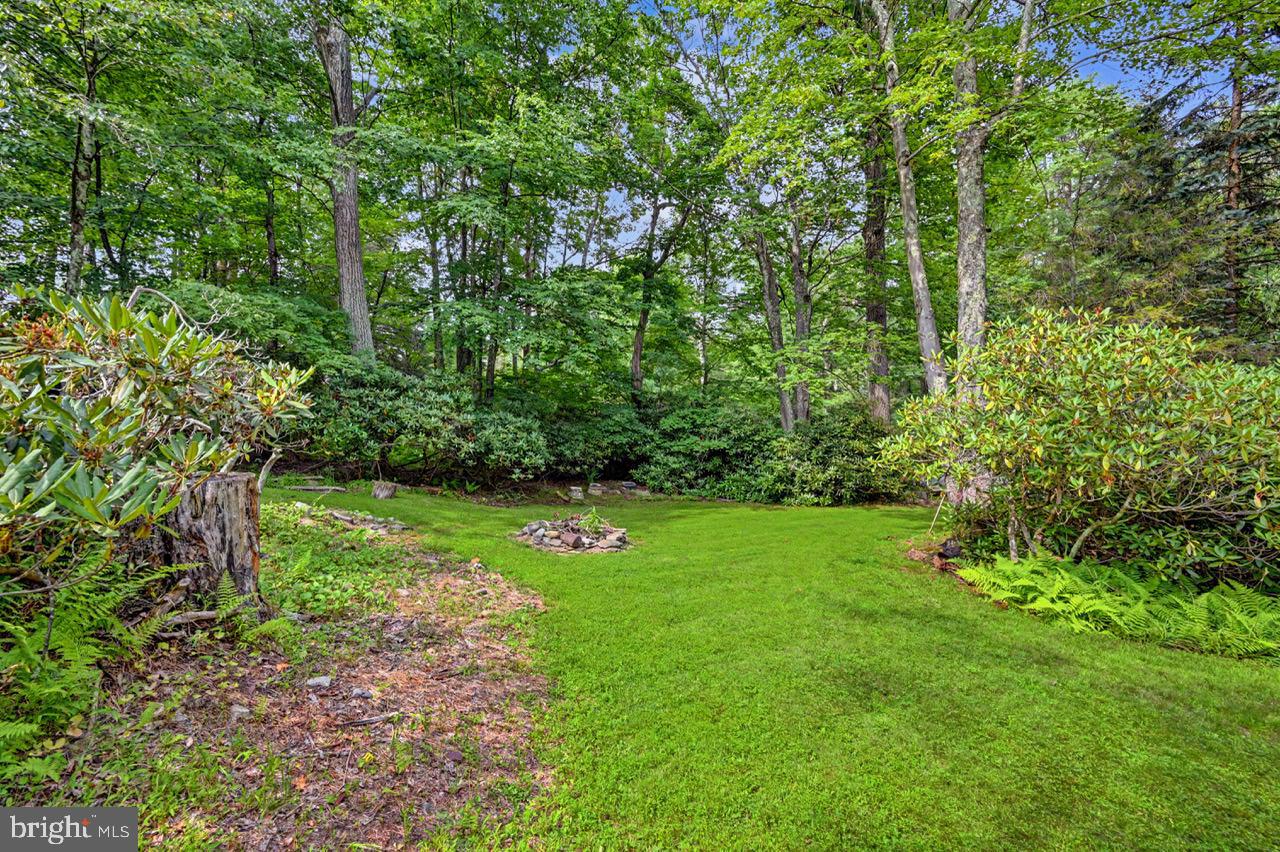 27 W Fern Property Photo 59