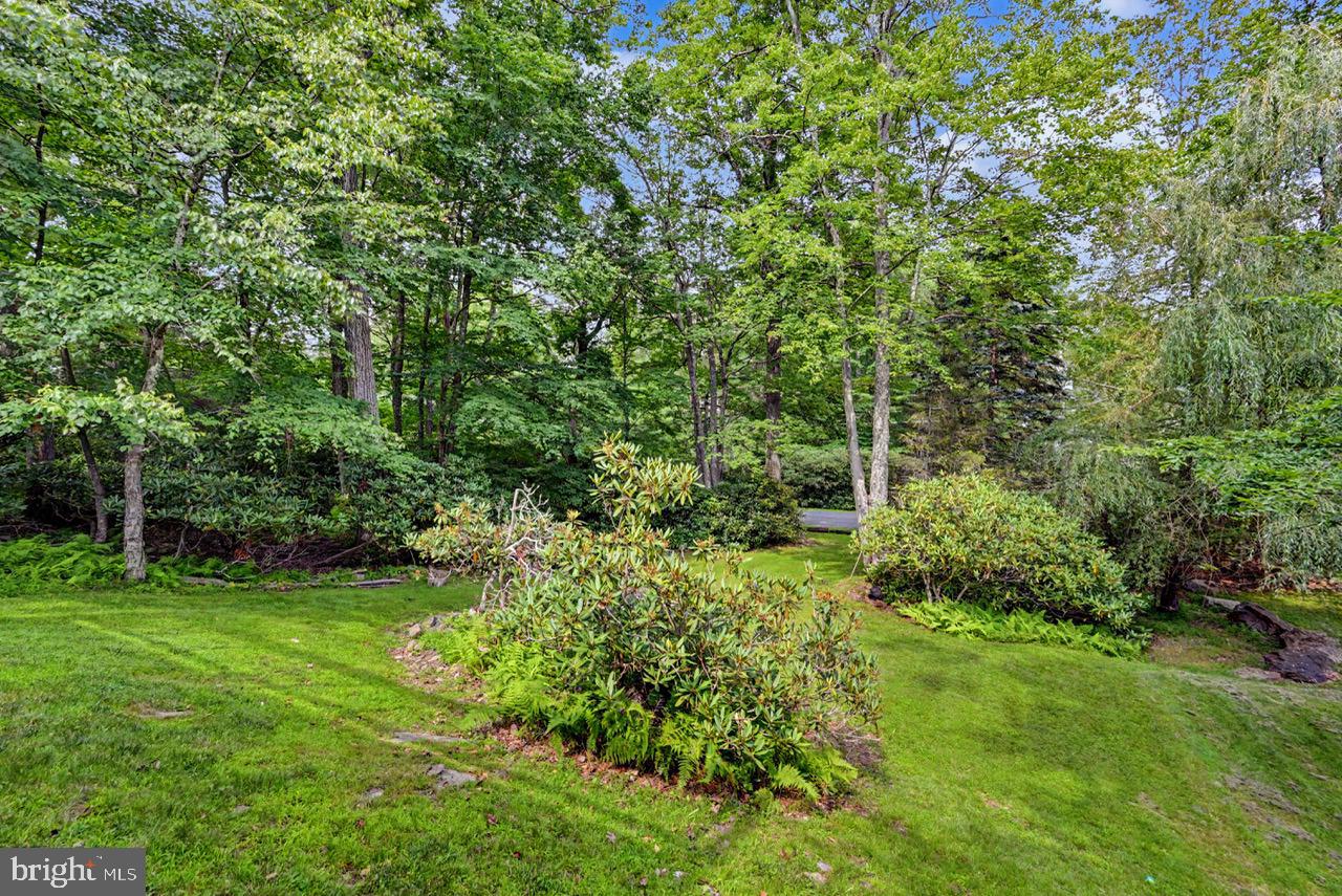 27 W Fern Property Photo 62