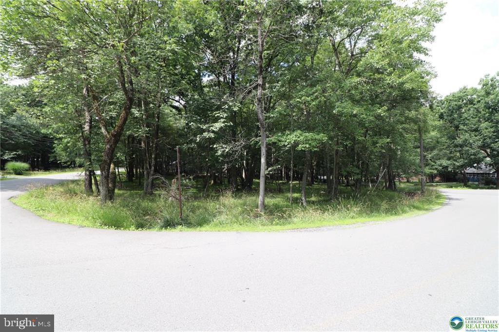Long Brook Way & Woodland Rd Property Photo 2