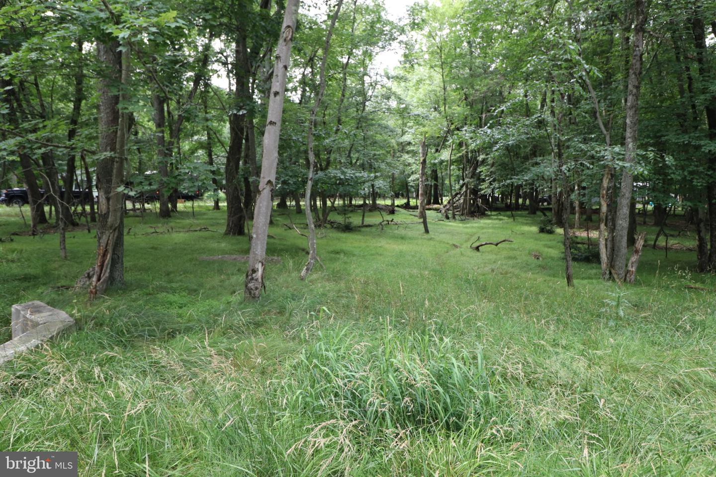 Long Brook Way & Woodland Rd Property Photo 3