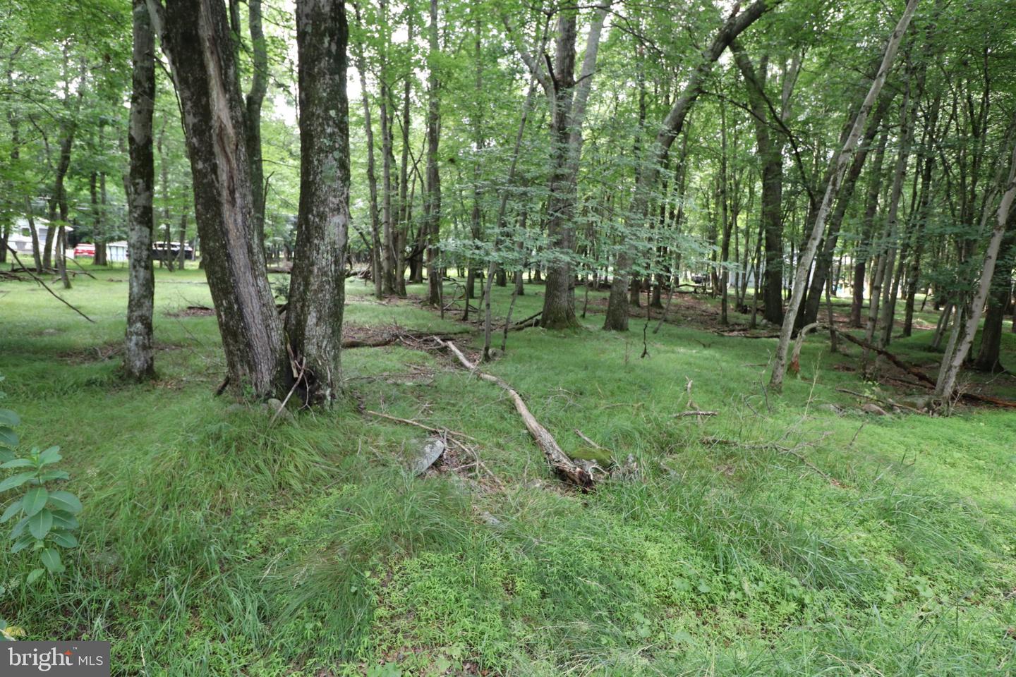 Long Brook Way & Woodland Rd Property Photo 5
