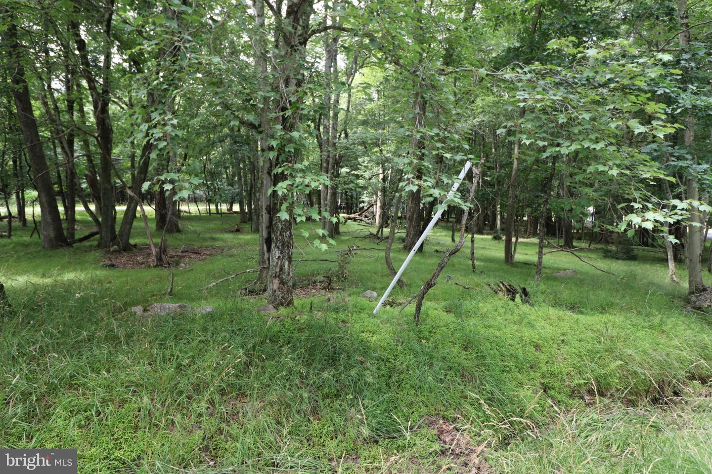 Long Brook Way & Woodland Rd Property Photo 6