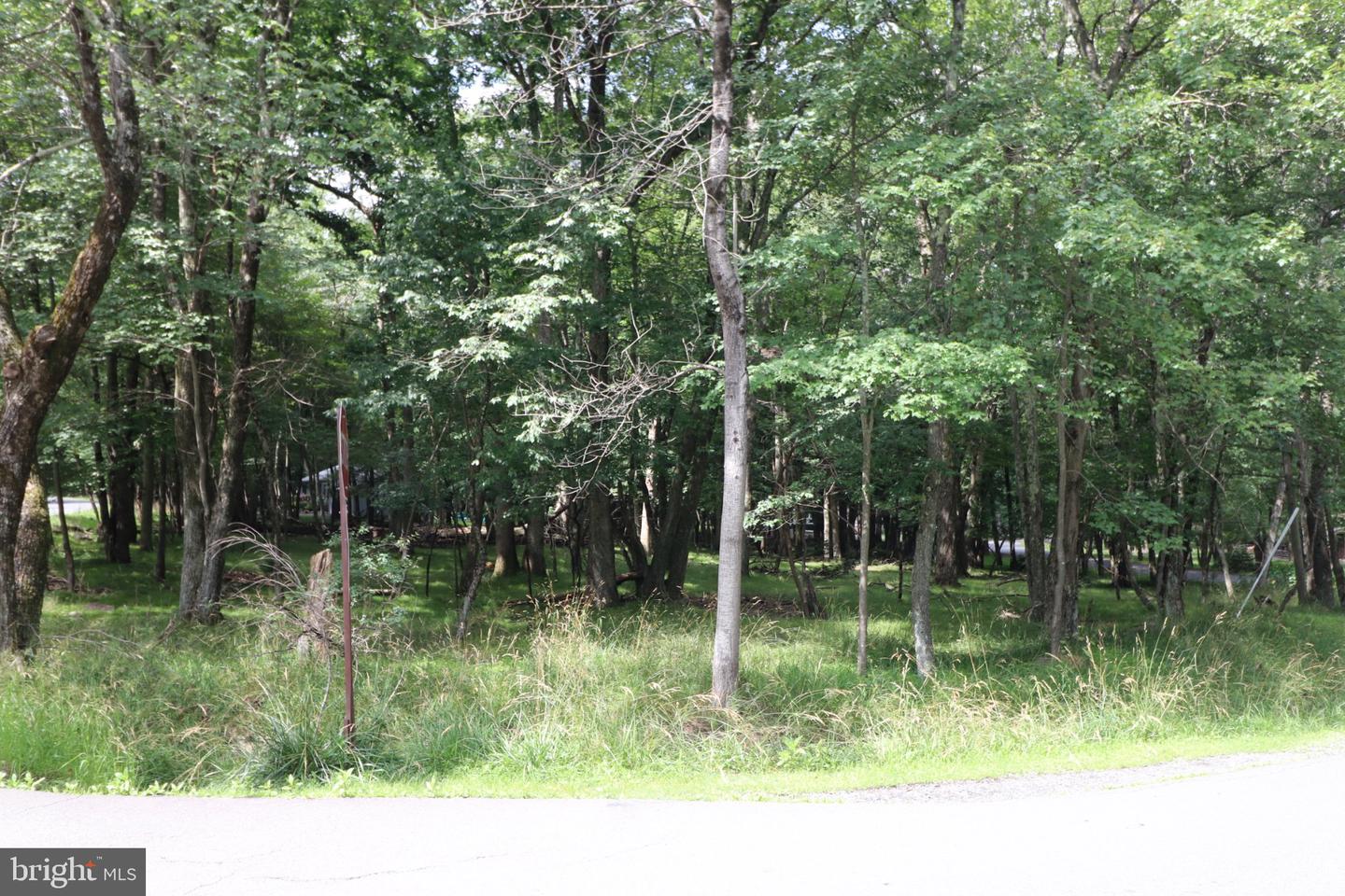 Long Brook Way & Woodland Rd Property Photo 7