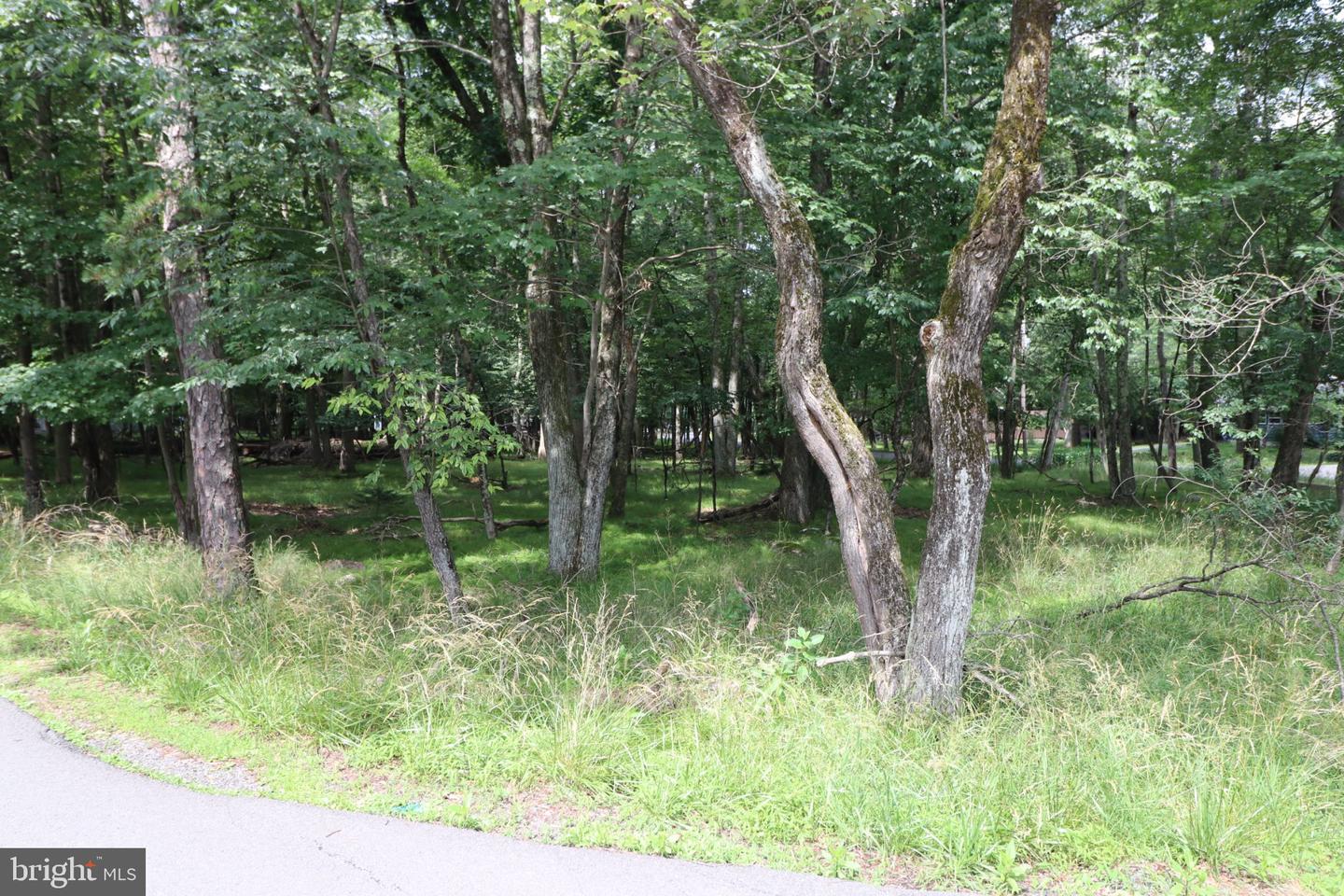 Long Brook Way & Woodland Rd Property Photo 8