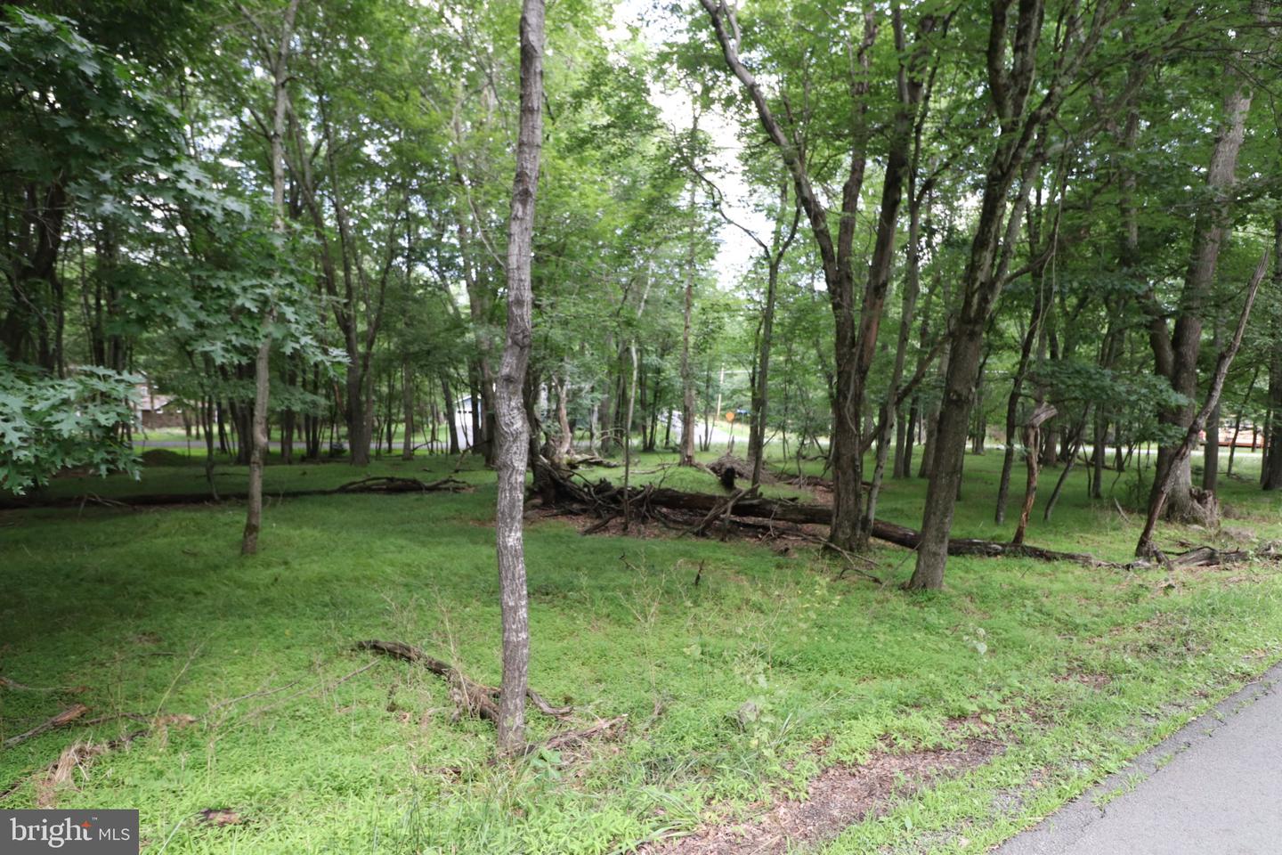 Long Brook Way & Woodland Rd Property Photo 9