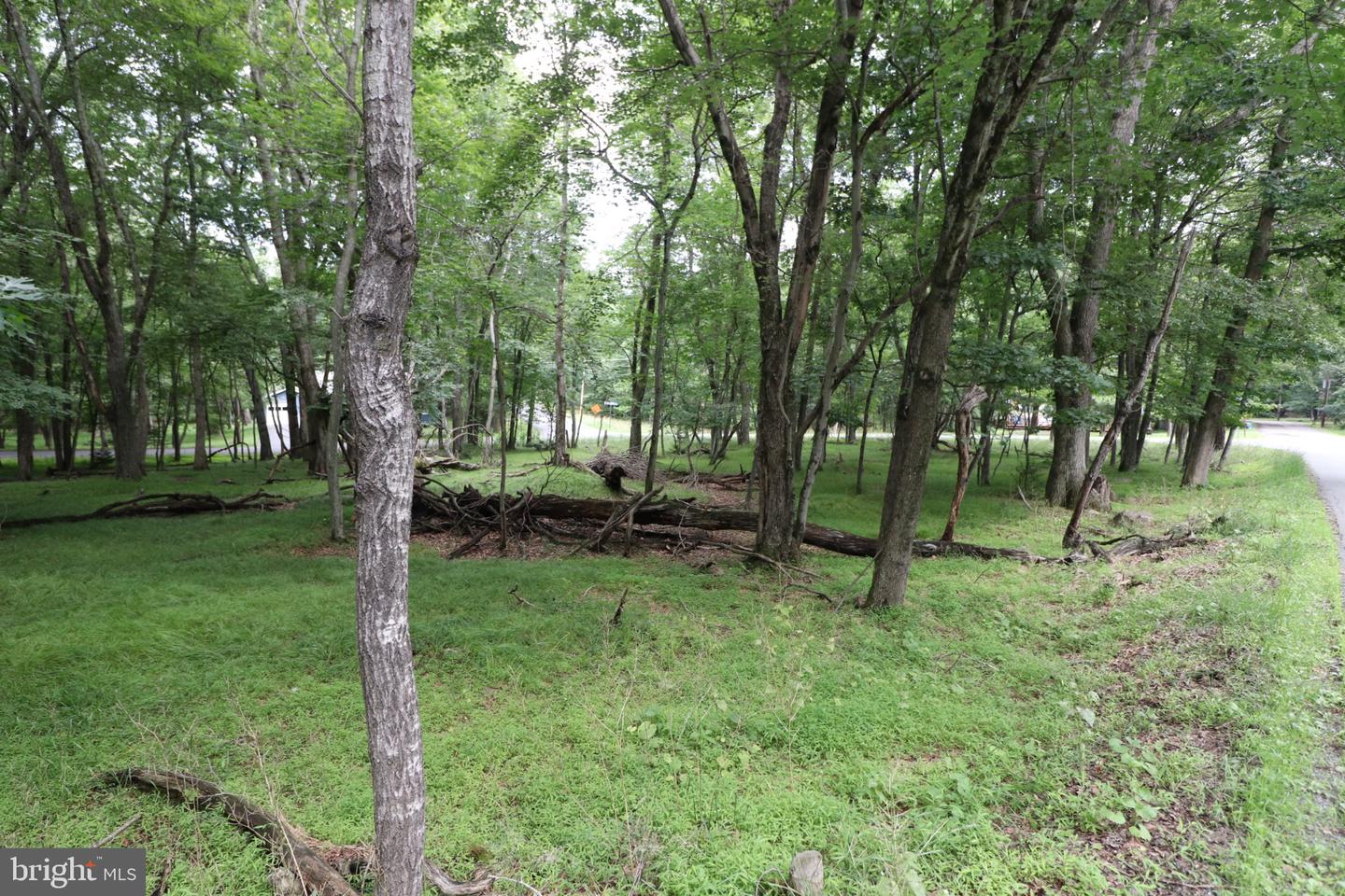 Long Brook Way & Woodland Rd Property Photo 10