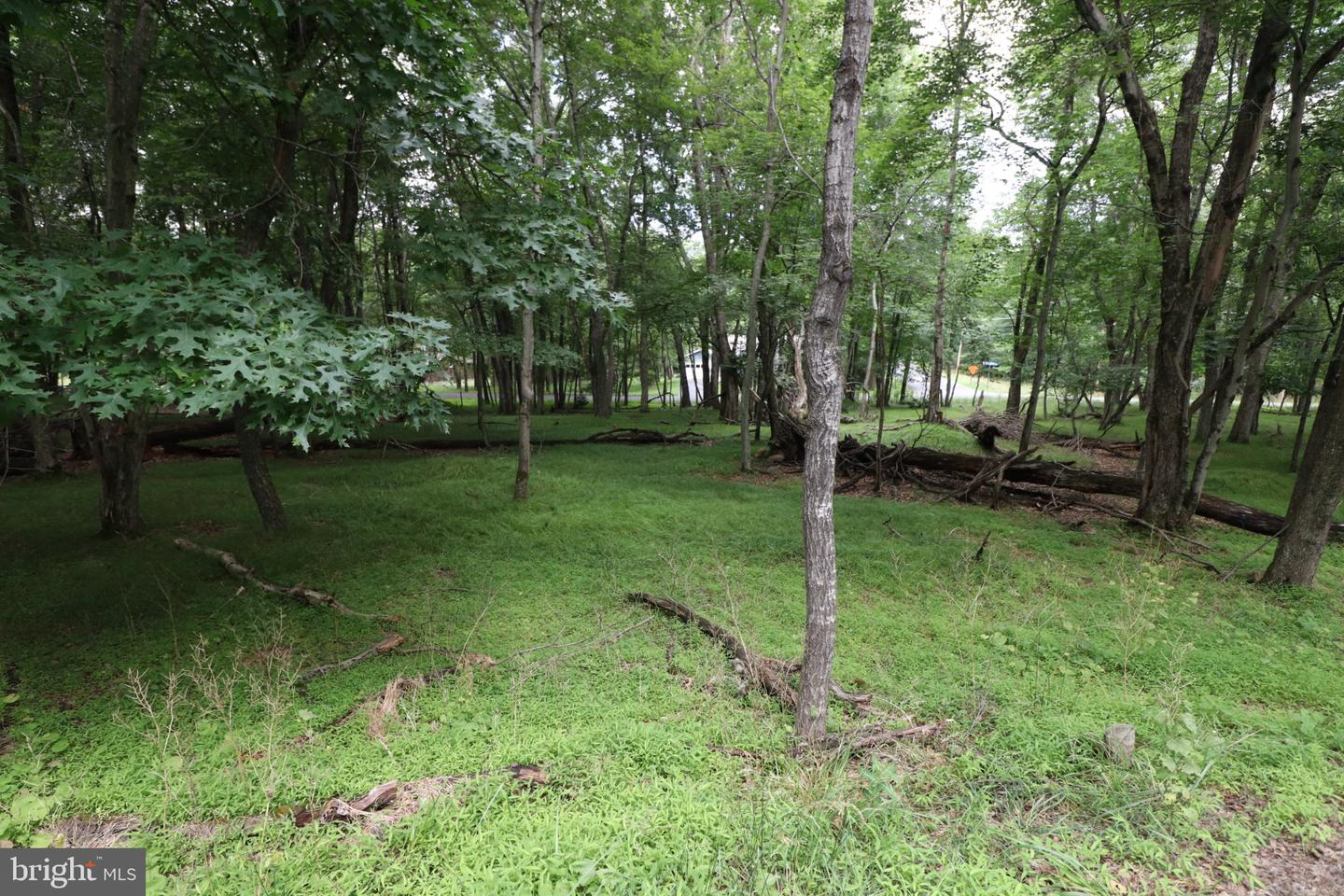 Long Brook Way & Woodland Rd Property Photo 11