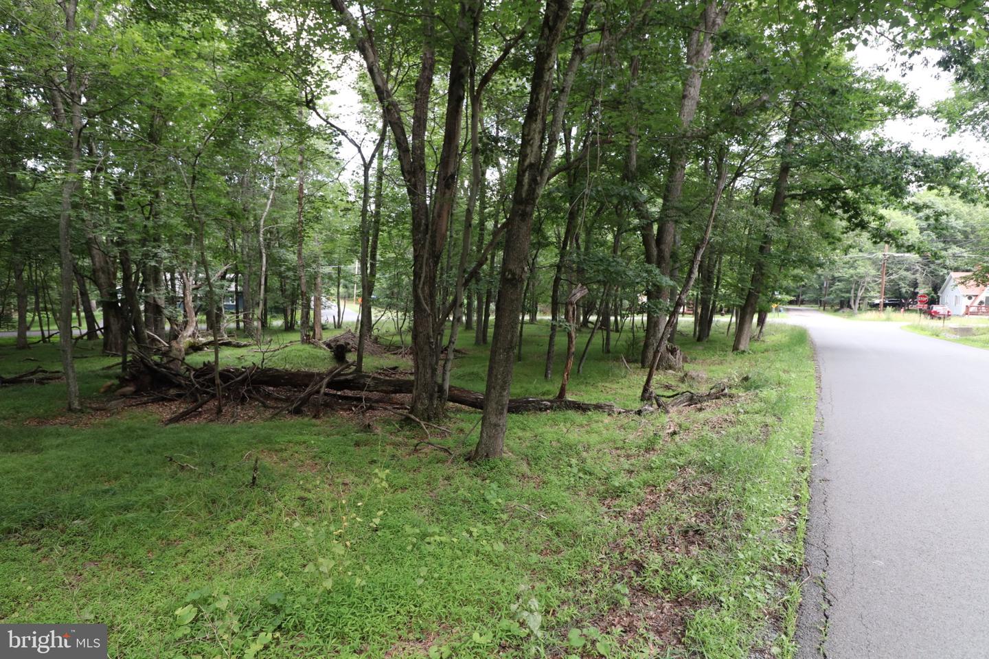 Long Brook Way & Woodland Rd Property Photo 12