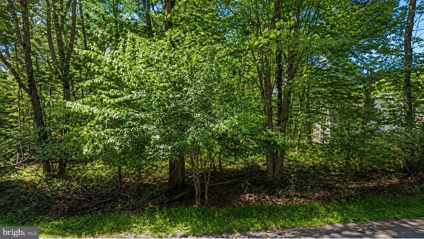 2460 Pawnee Trl Property Photo 2