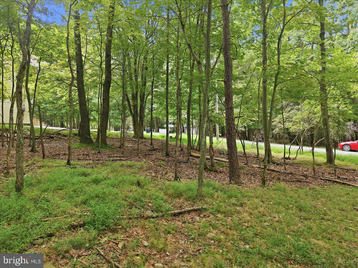 38 Payallup Trl Property Photo 73