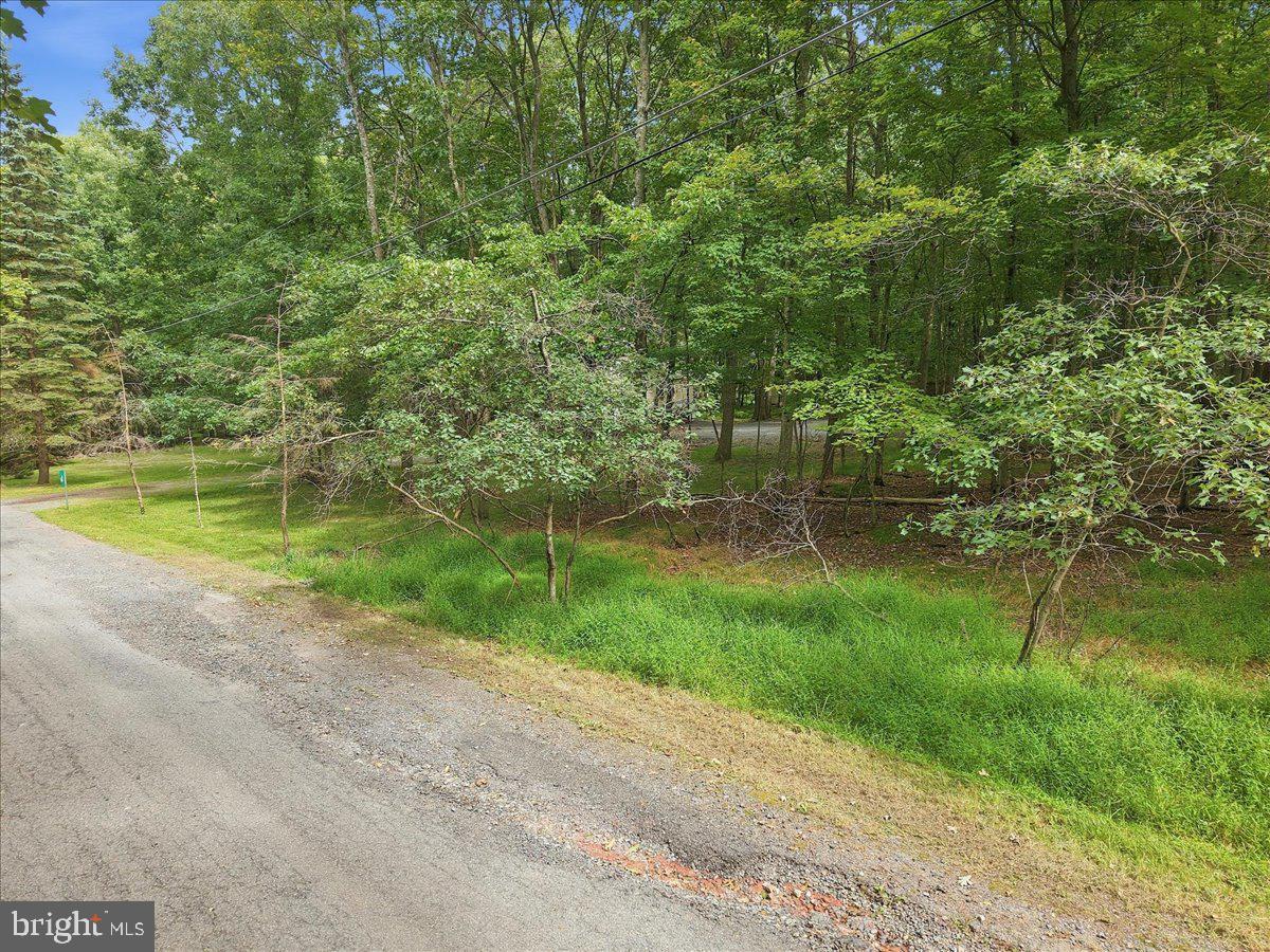 38 Payallup Trl Property Photo 74