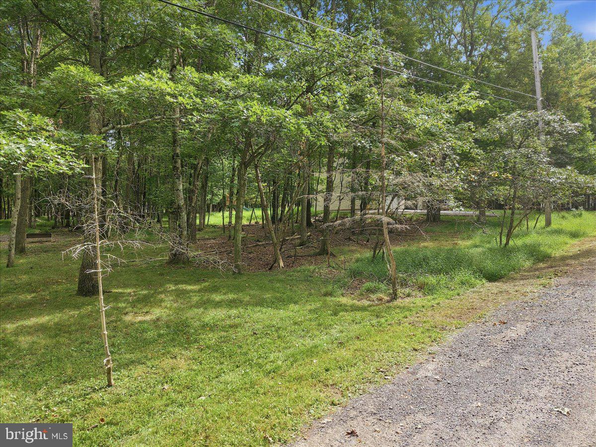 38 Payallup Trl Property Photo 75