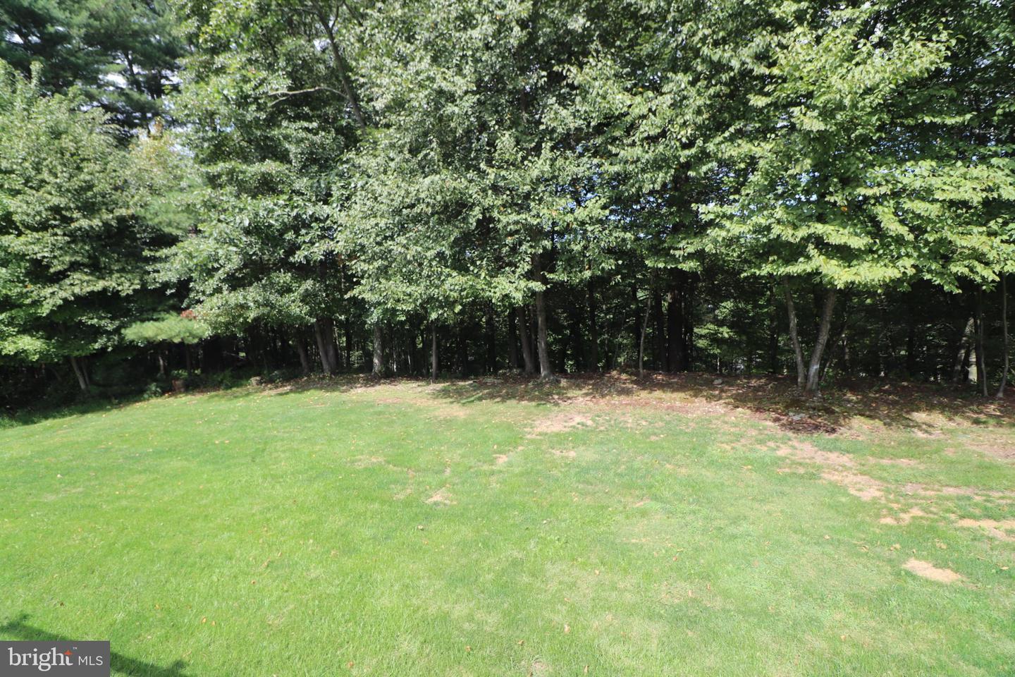 117 Ashley Ln Property Photo 50