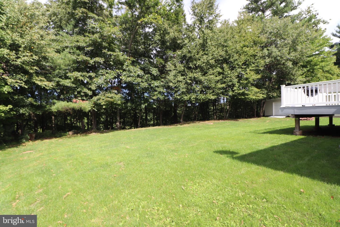 117 Ashley Ln Property Photo 51