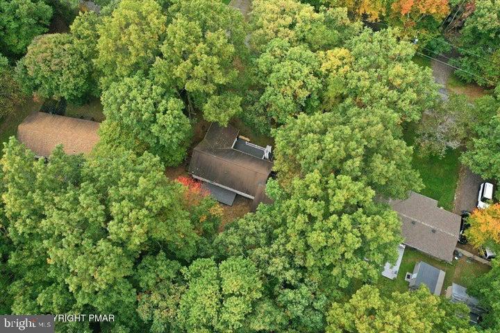 118 Buckhill Rd E Property Photo 59