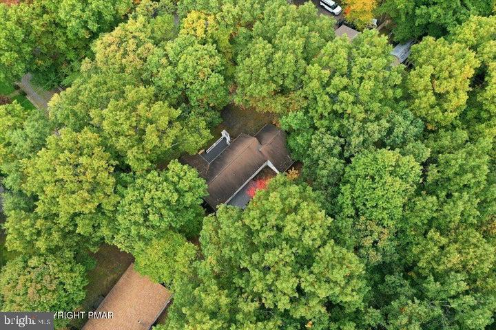 118 Buckhill Rd E Property Photo 60
