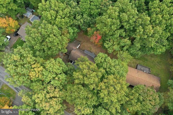 118 Buckhill Rd E Property Photo 61