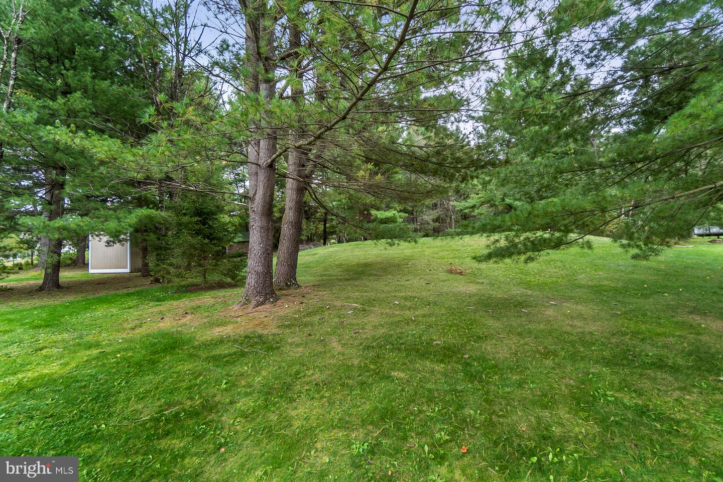 1725 Forest St Property Photo 6