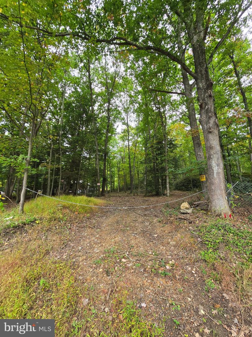 510 W White Bear Dr Property Photo 2