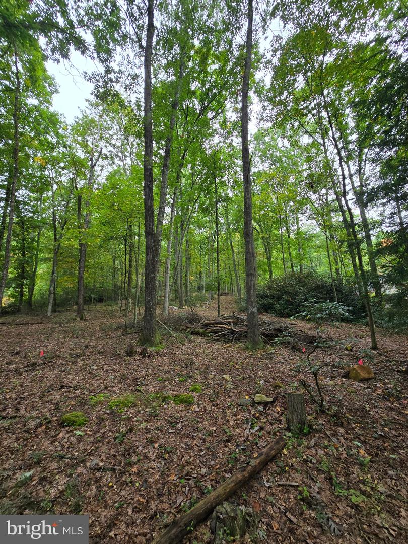 510 W White Bear Dr Property Photo 3