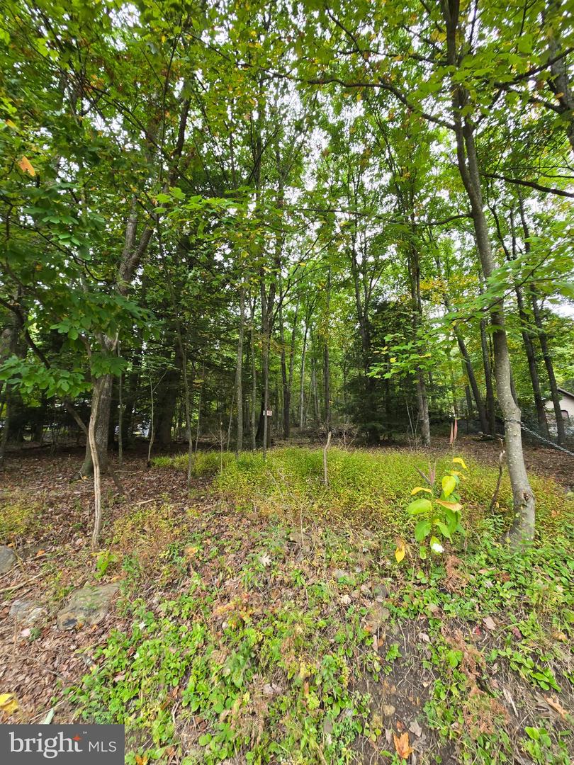 510 W White Bear Dr Property Photo 4