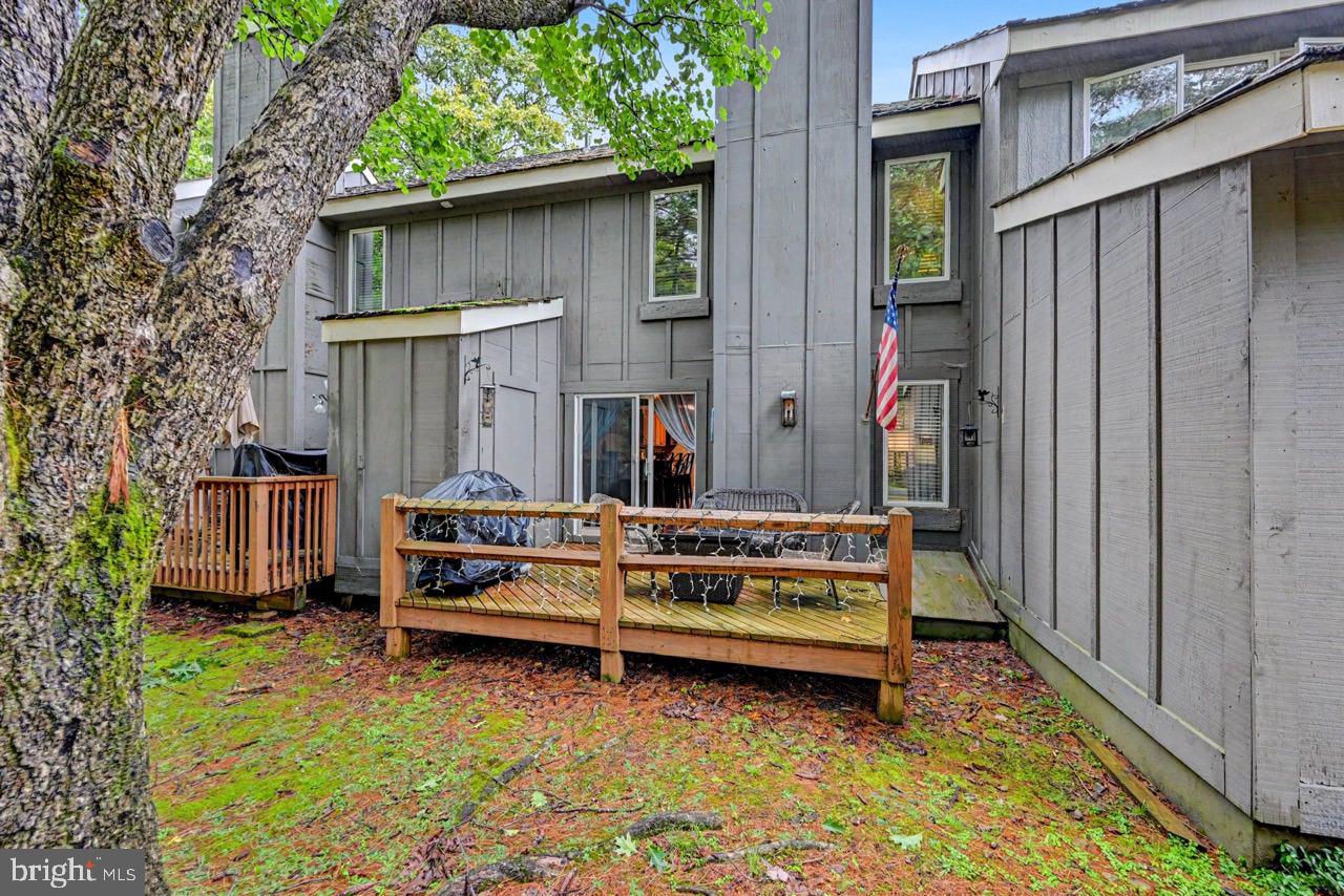 37 Free Style Property Photo 5