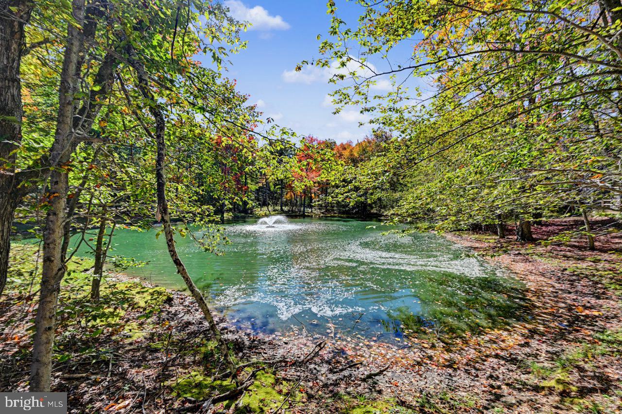 29 Snow Shoe Property Photo 50