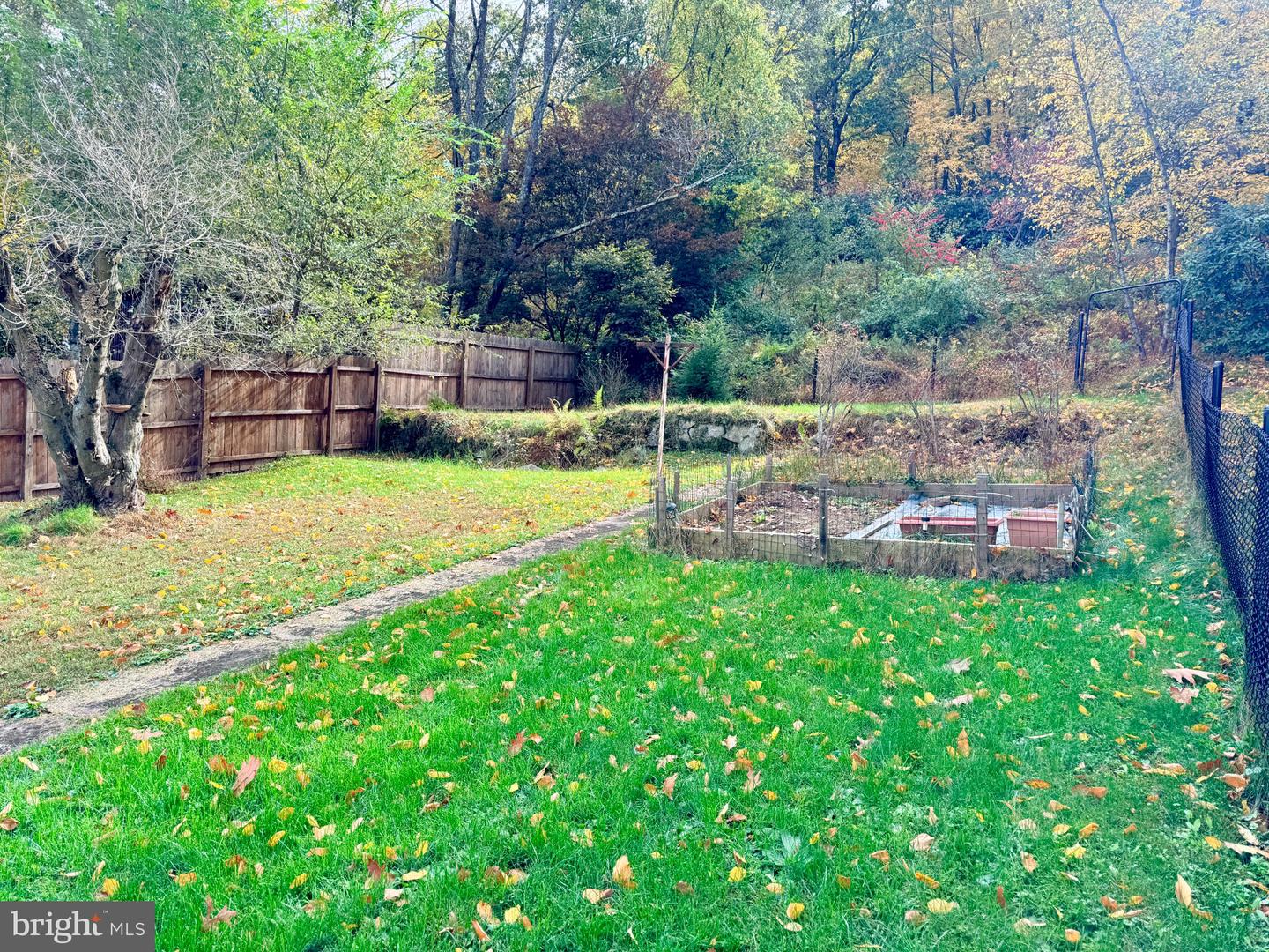 207-209 Yard St Property Photo 19