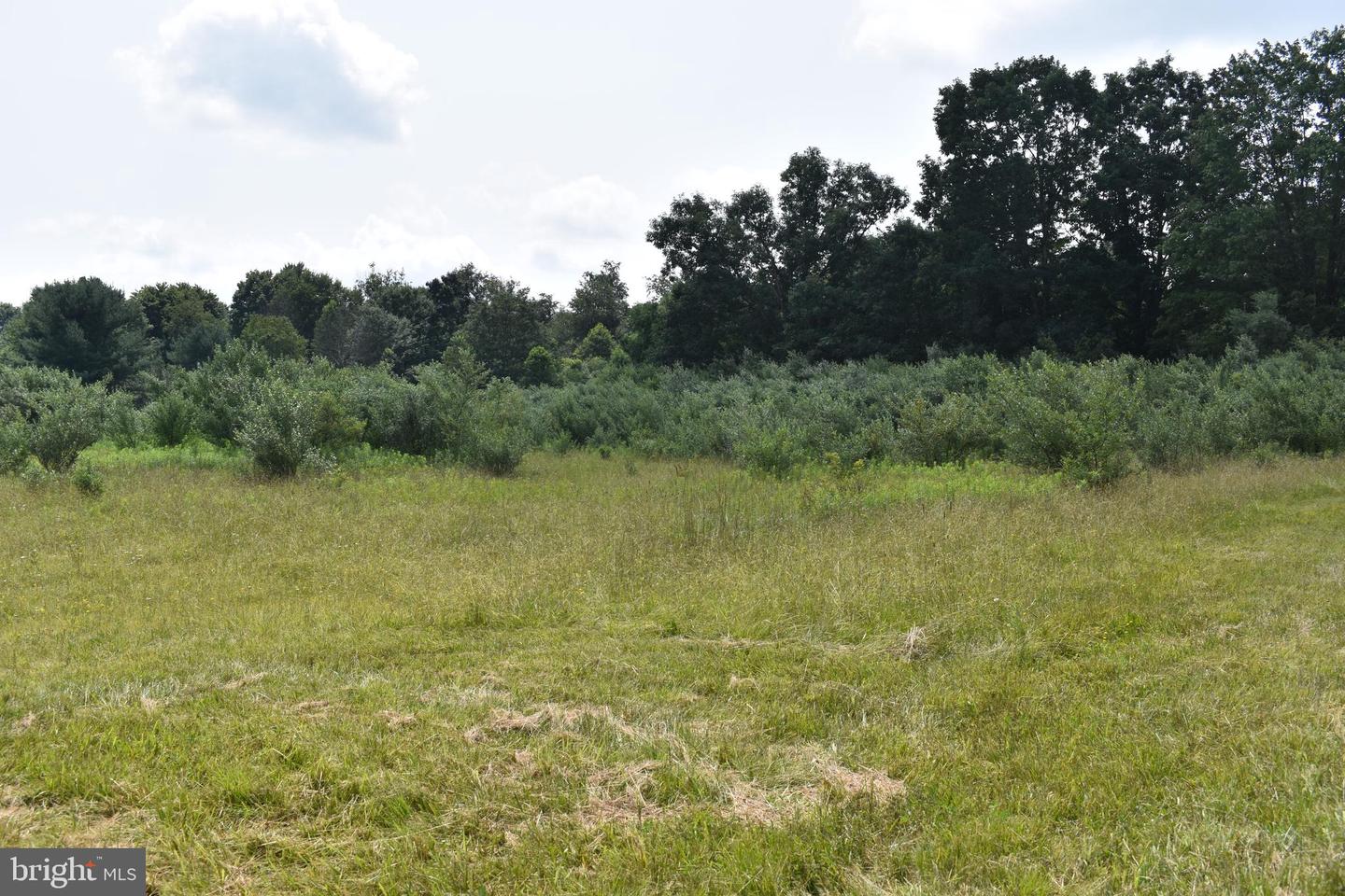 0 Cross Roads Blvd Property Photo
