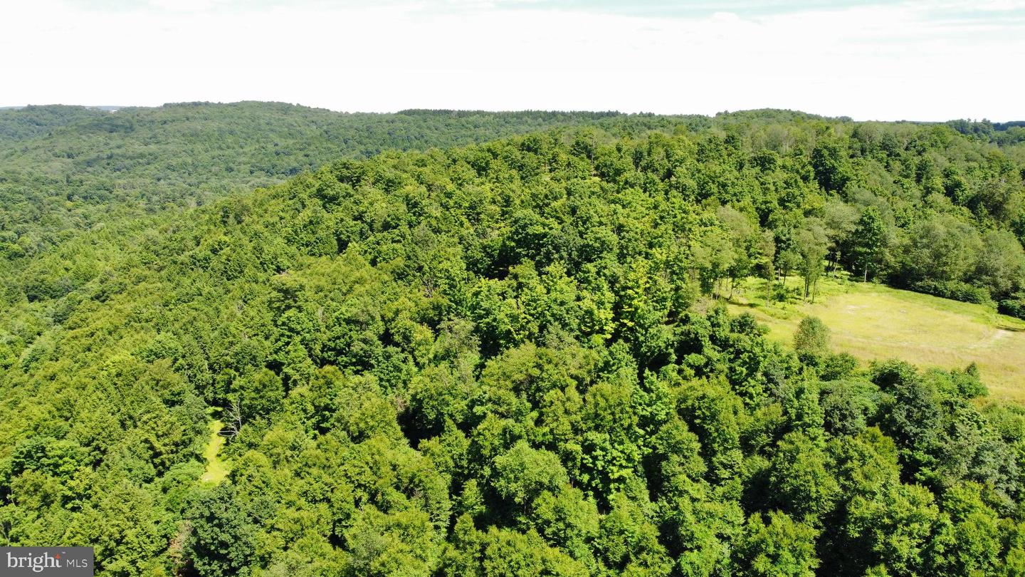 0 Curwensville Tyrone Hwy Property Photo 4