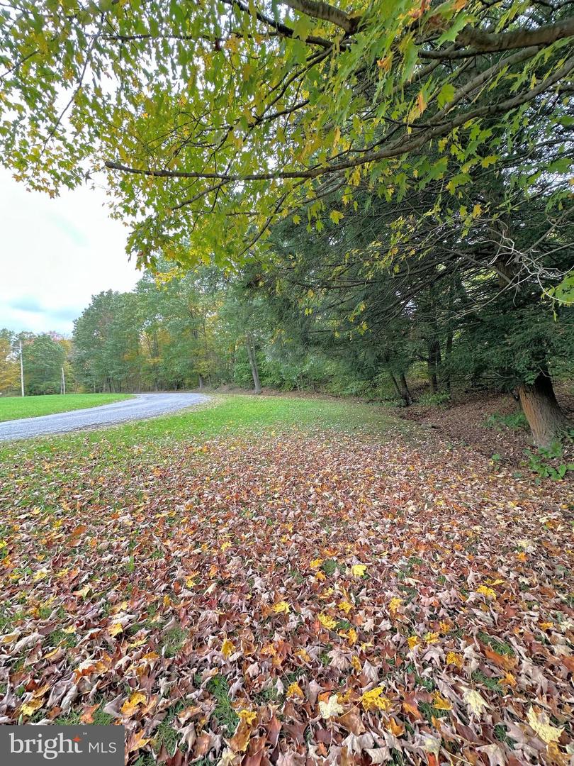 0 Bracken Rd Property Photo 2