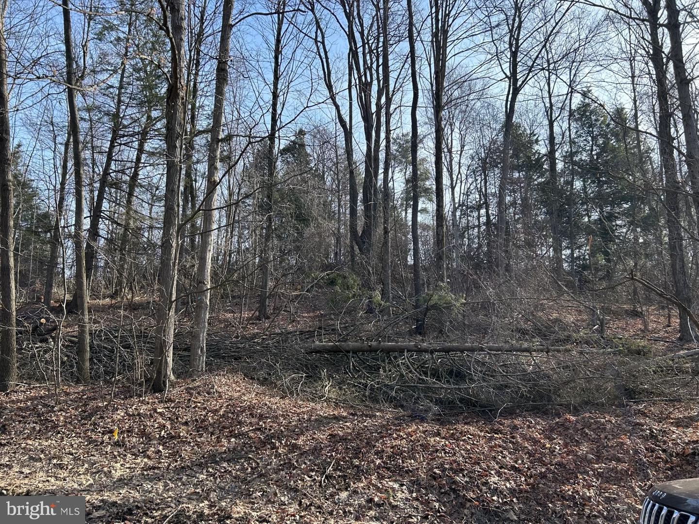 Lot On Wall Farm Road Property Photo