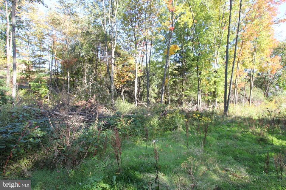 0 Hospital Ave Property Photo 1