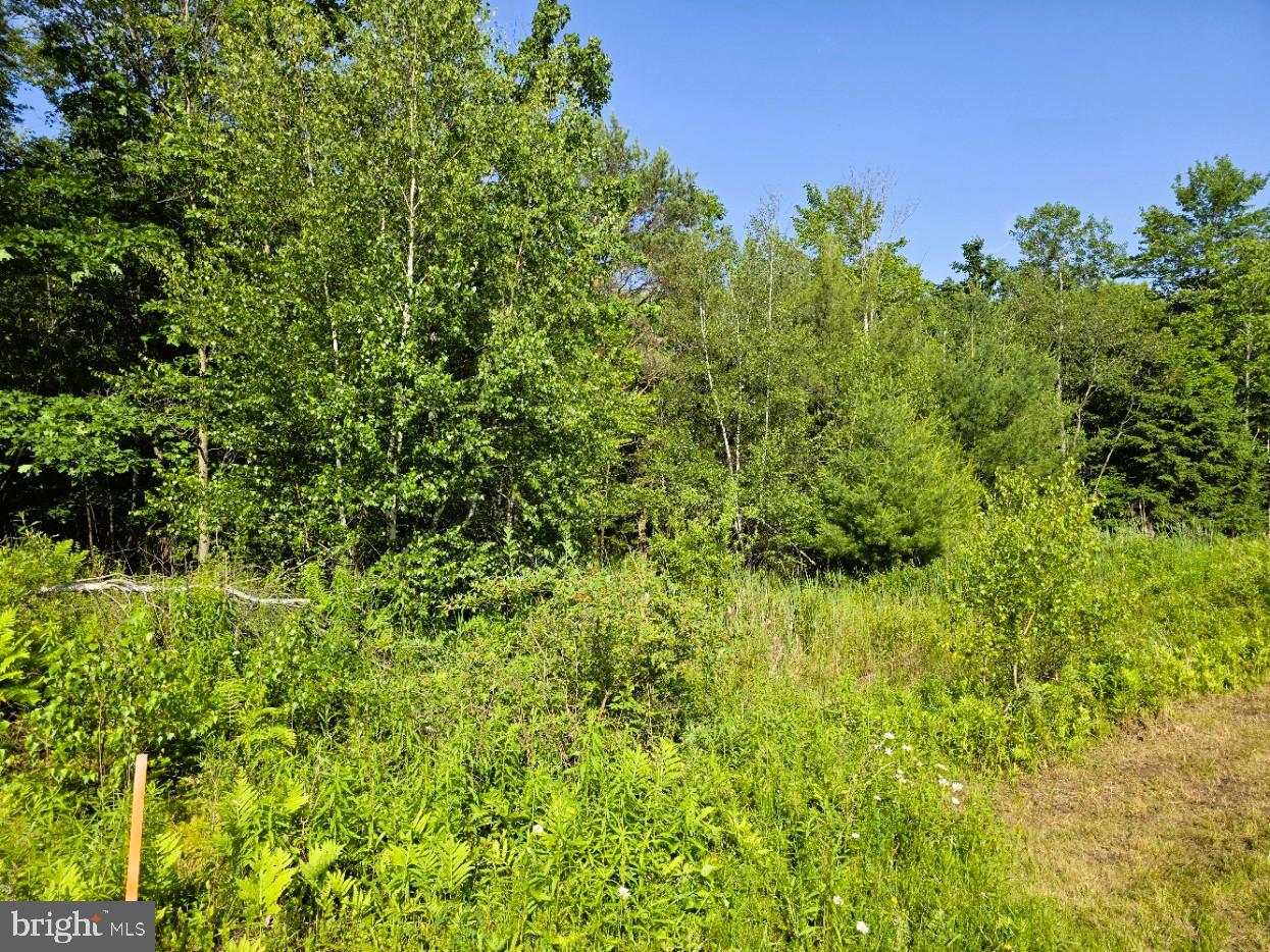 0 Main St Property Photo 1