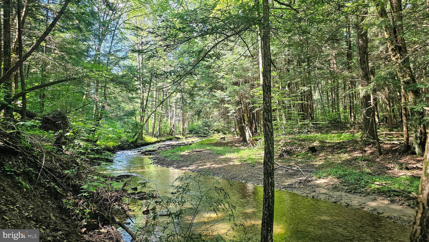 327.9 Acres MAHAFFEY GRAMPIAN HWY