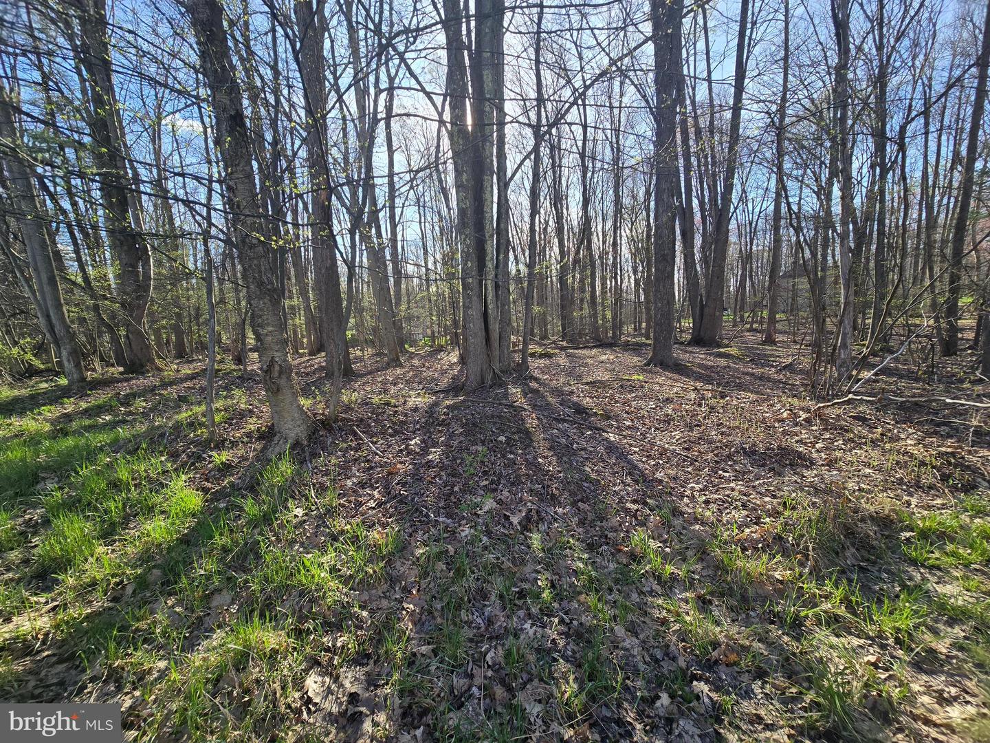 55 Smugglers Rd Property Photo 1