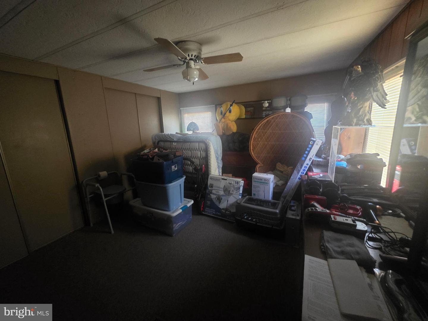 218 Princess St Property Photo 23