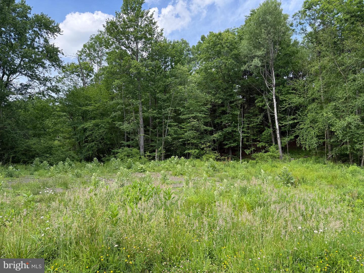 0 Frog Hollow Rd Property Photo 1