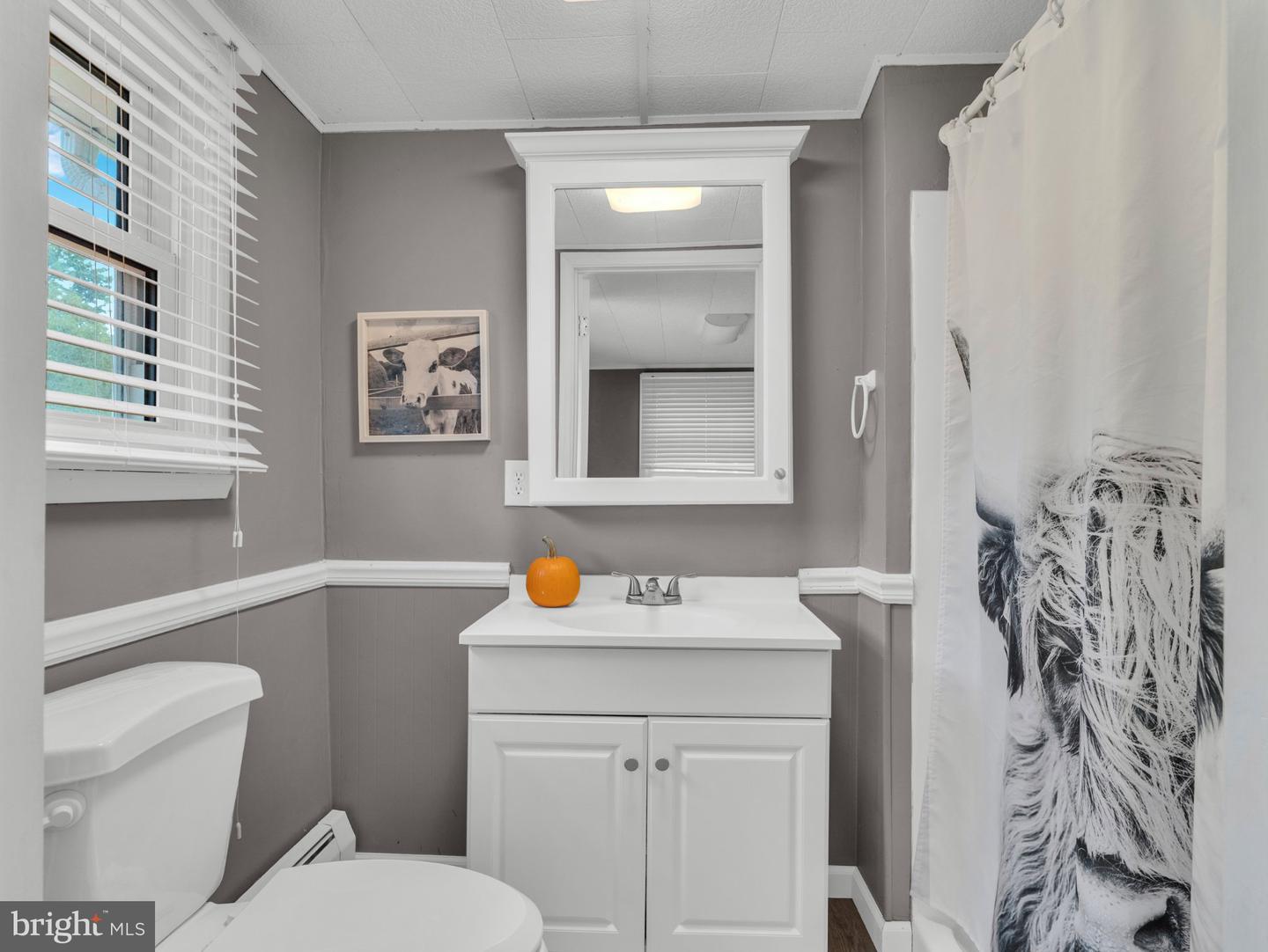 18 Trolley St Property Photo 6