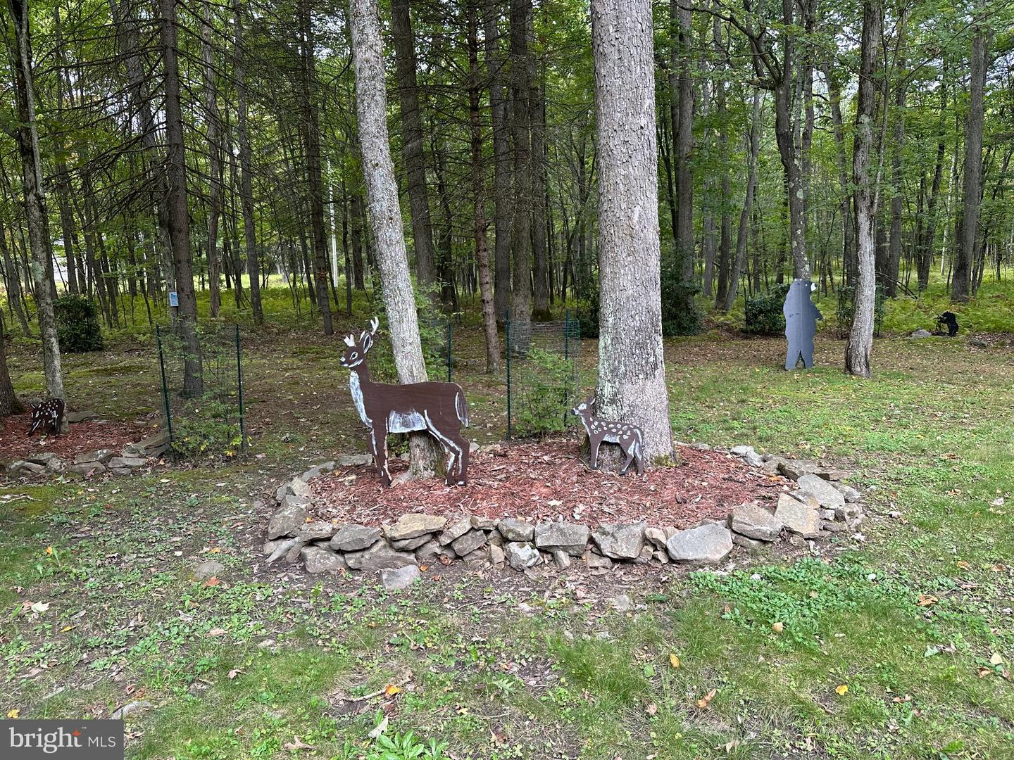 PACD2045536 Property Photo 32