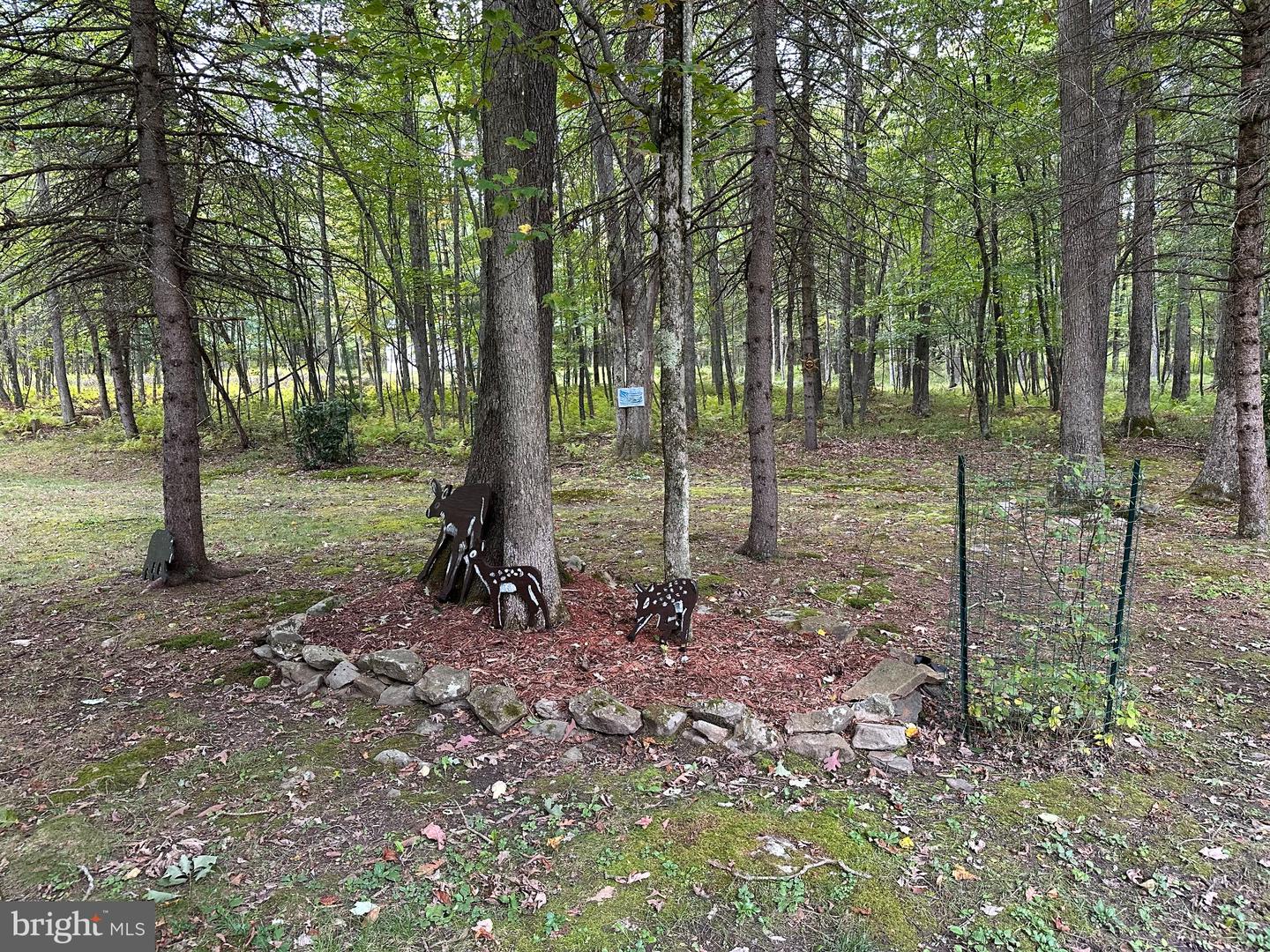PACD2045536 Property Photo 33