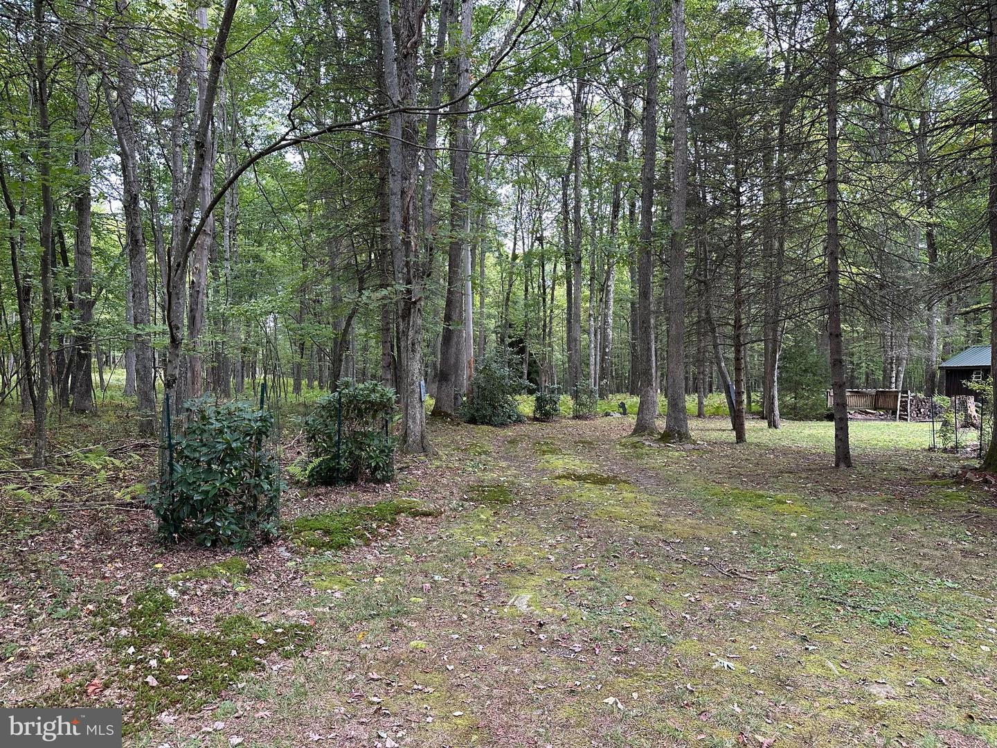 PACD2045536 Property Photo 38