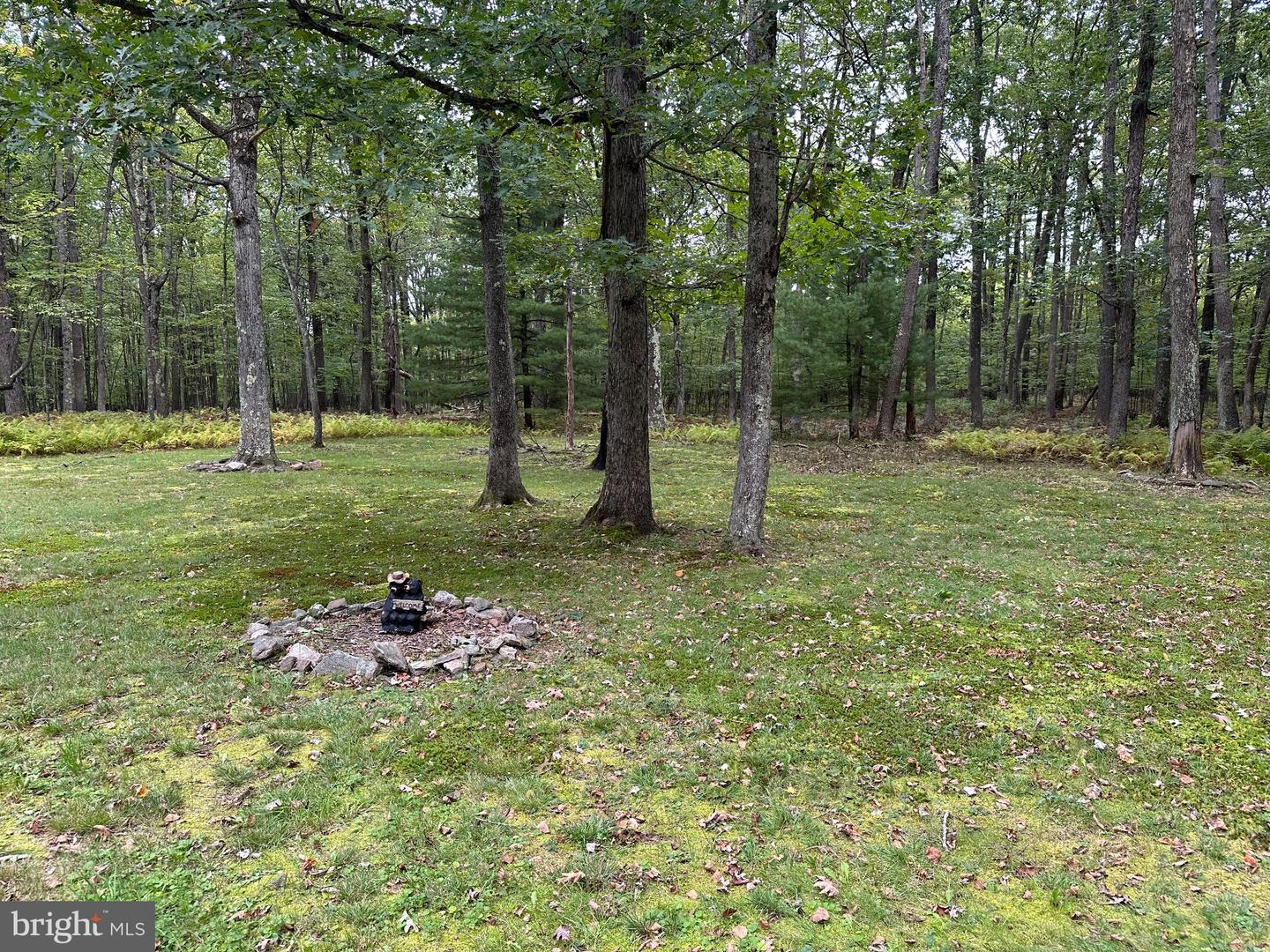 PACD2045536 Property Photo 41