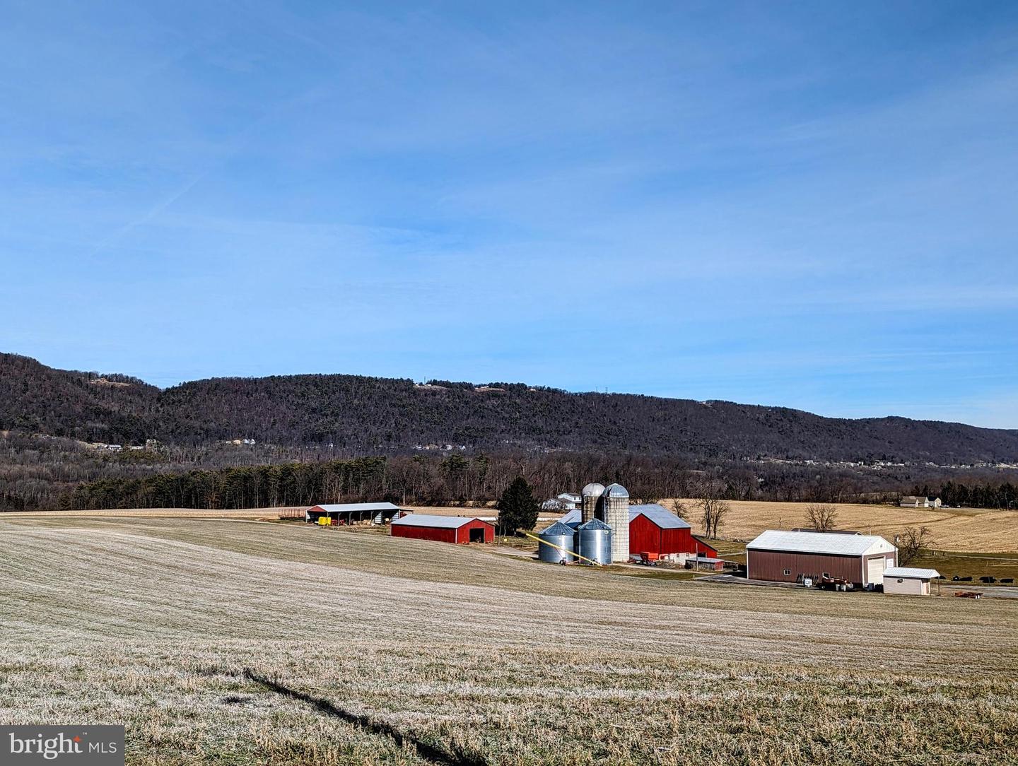 1667 Buffalo Run Rd Property Photo 43