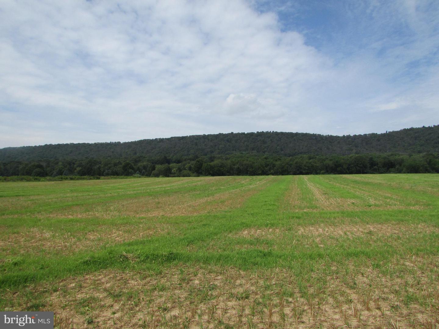 0 Upper Brush Valley Rd Property Photo 8