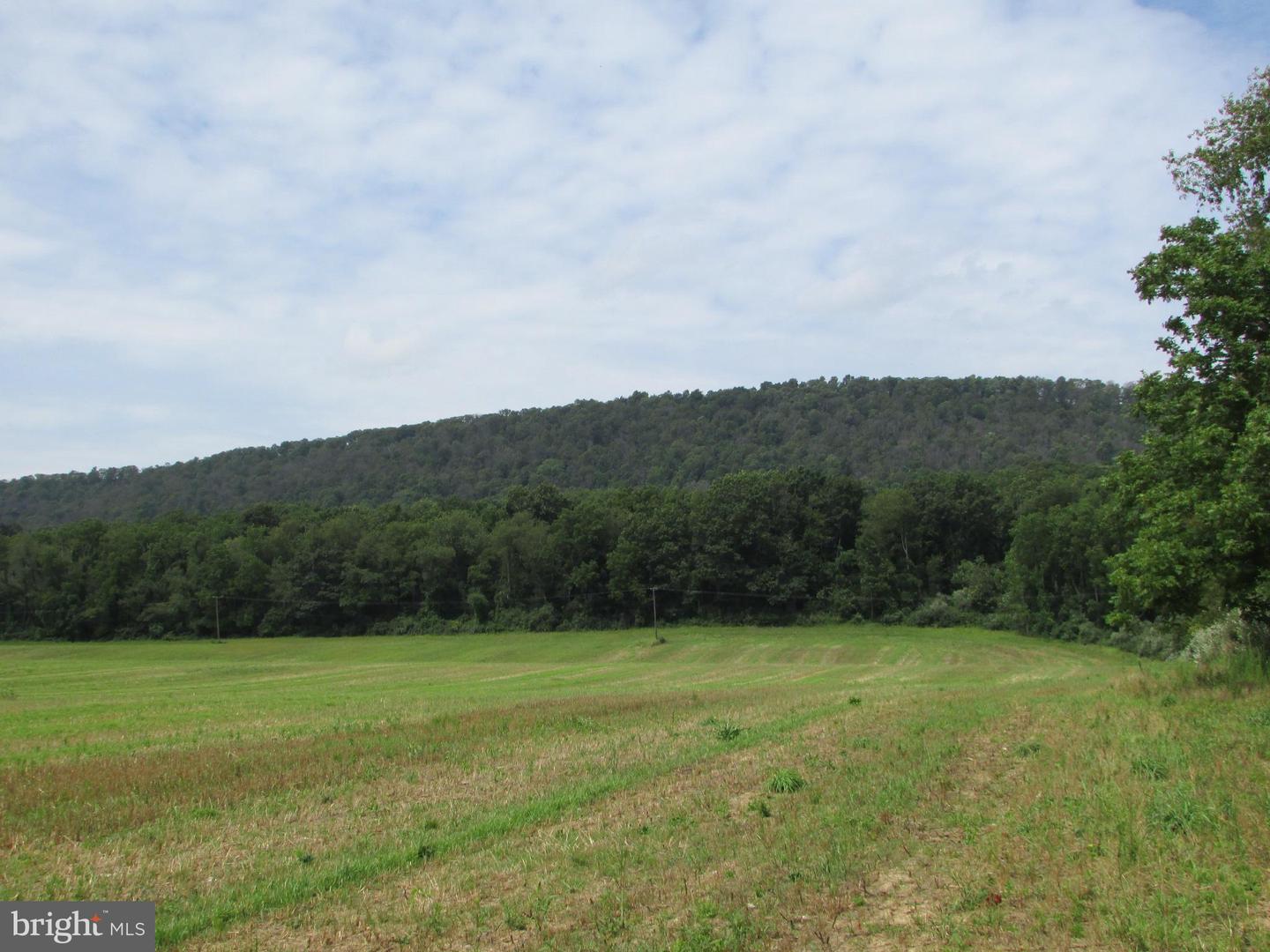0 Upper Brush Valley Rd Property Photo 9
