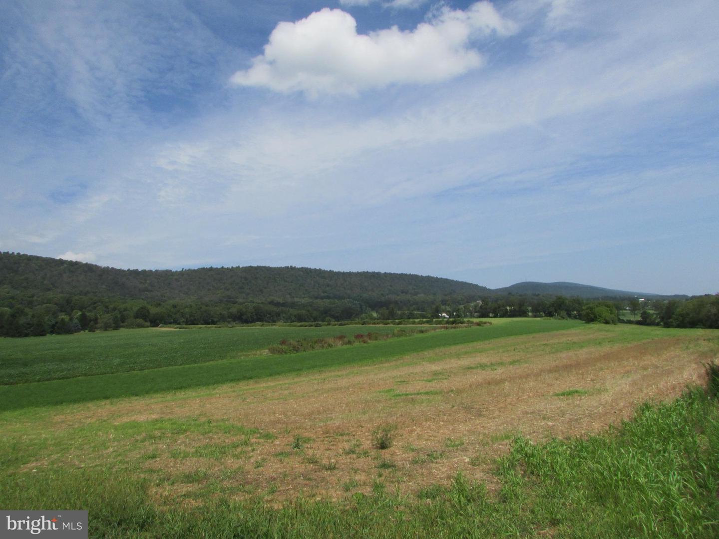 0 Upper Brush Valley Rd Property Photo 10