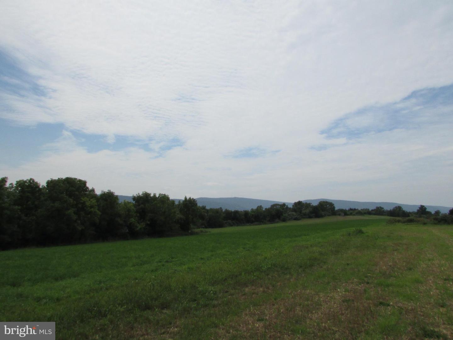 0 Upper Brush Valley Rd Property Photo 12