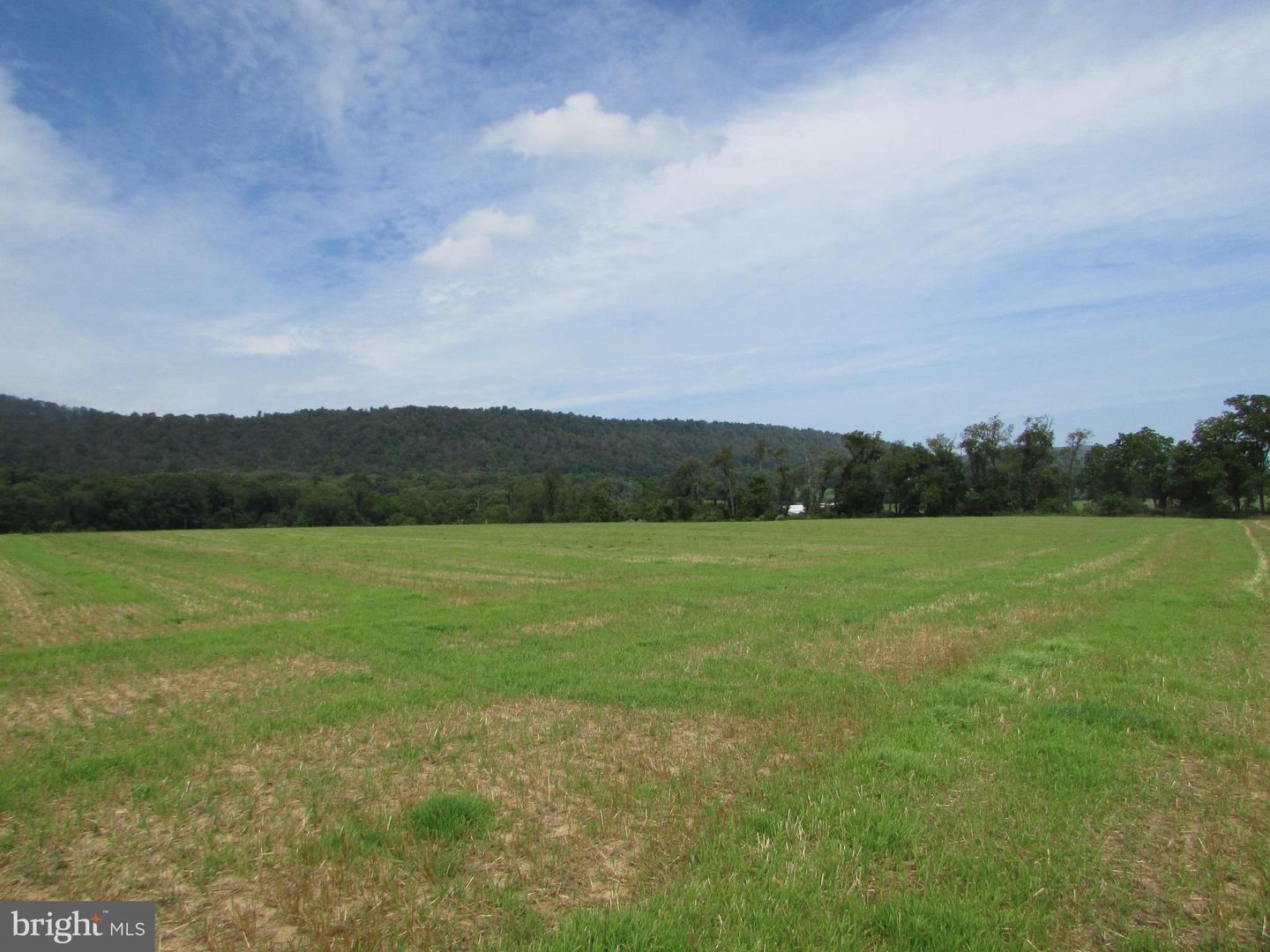 0 Upper Brush Valley Rd Property Photo 13